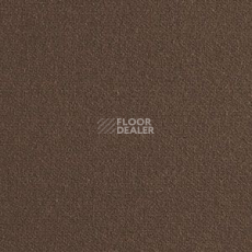 Ковролин Brintons True Velvet True Velvet Otter фото 1 | FLOORDEALER